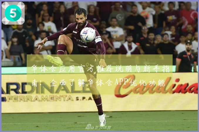 华体会应用官方推荐说明与新手指南：全面了解华体会APP优化功能