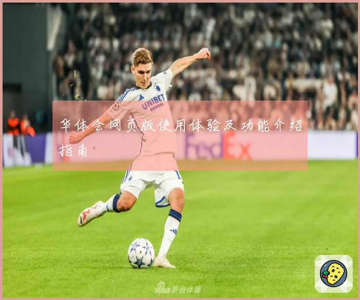 华体会网页版使用体验及功能介绍指南